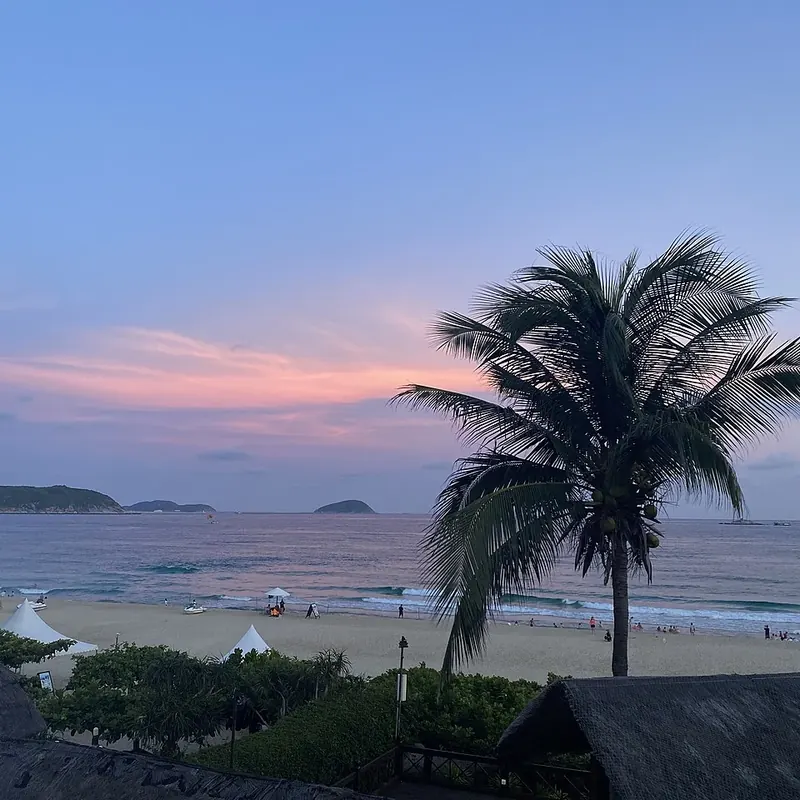 Beach and palms in Sanya · 三亚