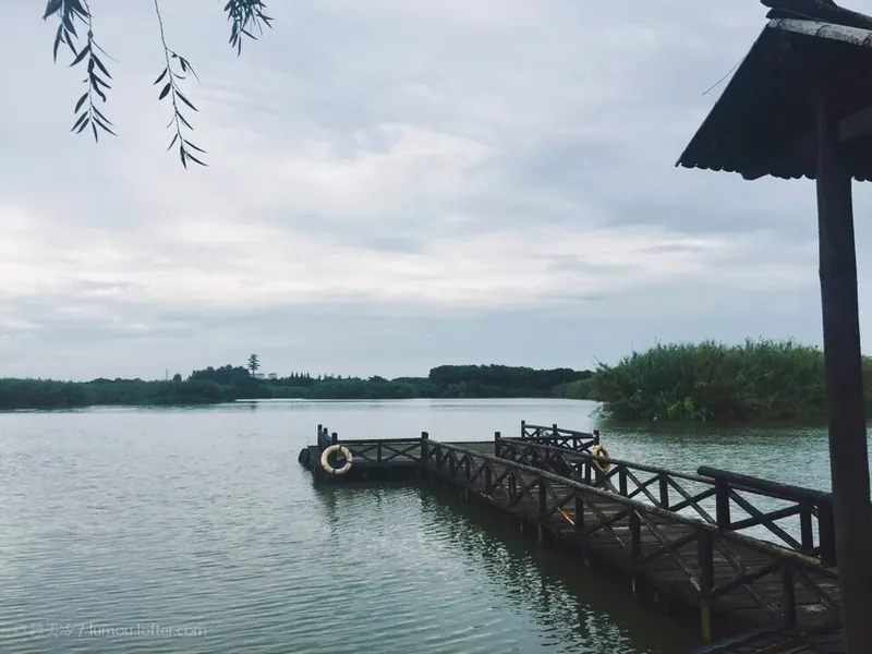 Lake and reed beds at Shajiabang, Changshu · 沙家浜