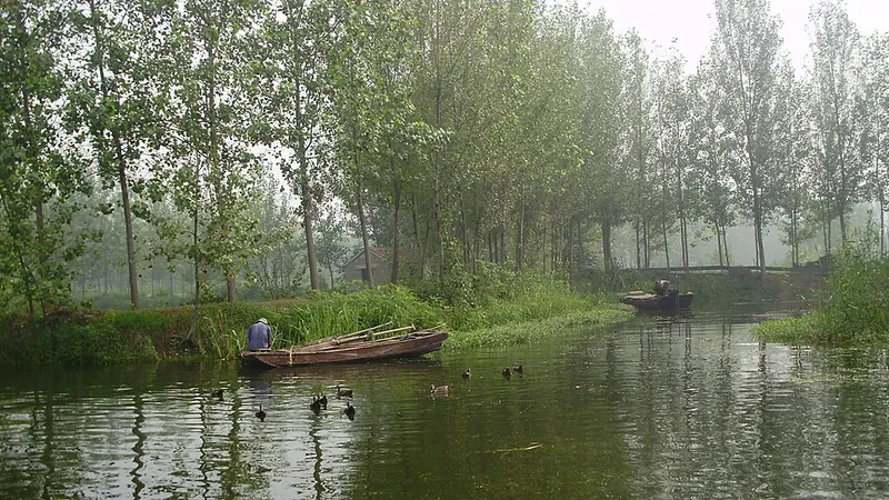 Tree-lined shore and boats on Weishan Lake · 微山湖