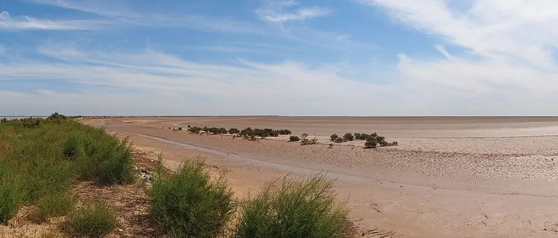Tidal mudflats in the Yellow River Delta nature reserve.