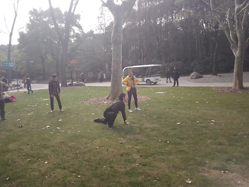 Lawn and mature trees in Gongqing Forest Park, Shanghai. Shown locality: Gongqing Forest Park, Yangpu District. Source-recorded photograph date: 2015-12-26 14:23:30.