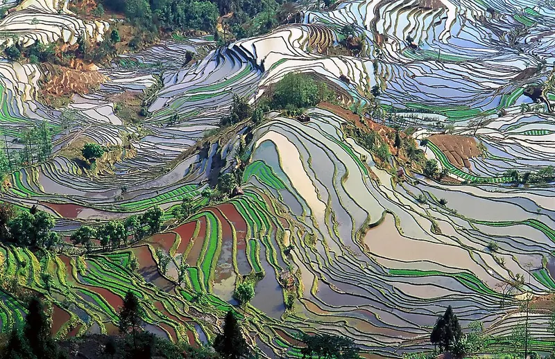 Honghe Hani rice terraces in Yuanyang County · 红河哈尼梯田