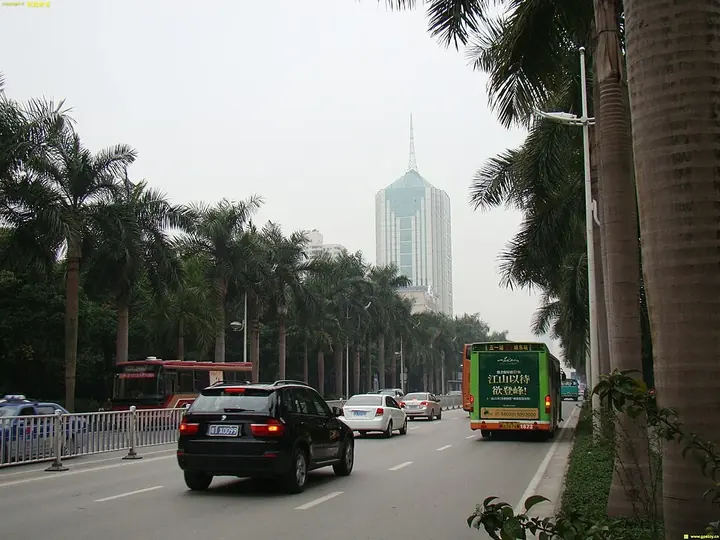 A palm-lined urban road in Qingxiu District, Nanning.