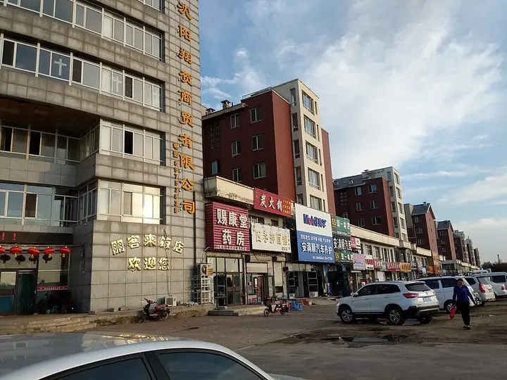 A commercial street in Puhe Town, Shenbei New Area, Shenyang. Photo: 2019-08-21 17:36:08.