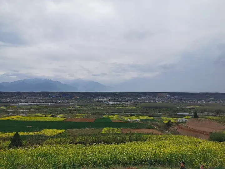 Terraced flower fields in Chang'an District, Xi'an. Photo: 2020-03-28 15:47:52.
