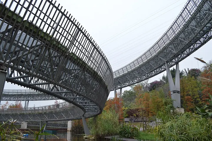 Elevated Fu Forest Trail in Meifeng Mountain Park, Fuzhou · 福州福道梅峰山地公园段