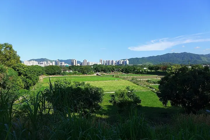 Long Valley in Hong Kong's North District. Photo: 2014-08-25.