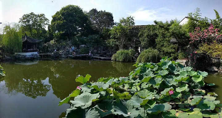 Pond and rockery in the Garden of Cultivation, Suzhou · 苏州艺圃池塘与假山