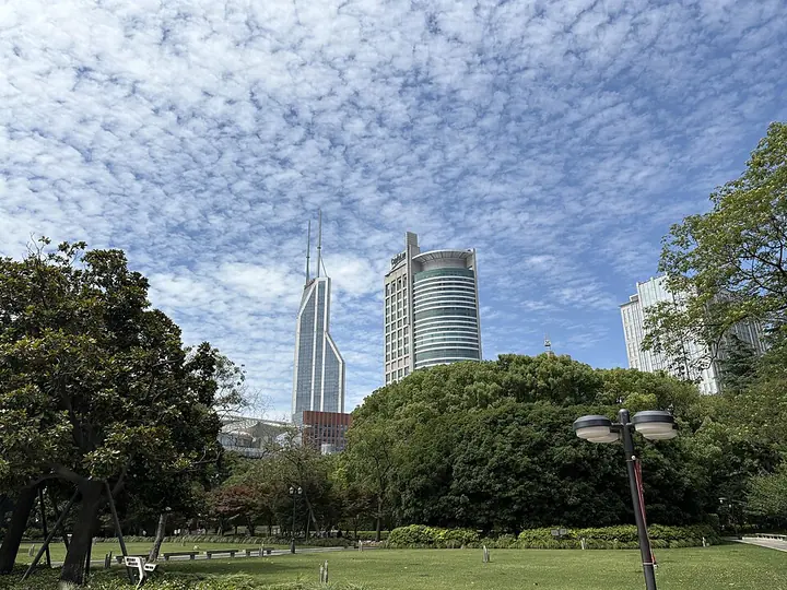 Lawn and trees in People's Park, Shanghai · 上海人民公园草坪与林荫
