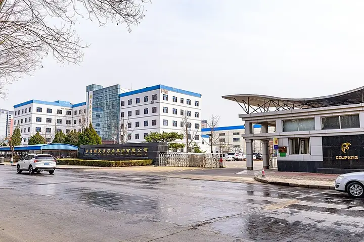 The headquarters buildings and forecourt of Jingfukang Pharmaceutical Group in Shuangqiao District, Chengde. Photo: 2024-03-25 13:53:48.
