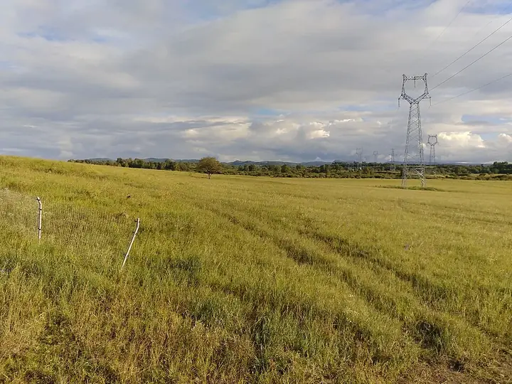 Open grassland, distant woodland and electricity pylons in Weichang Manchu and Mongol Autonomous County. Photo: 2017-08-16 17:42.