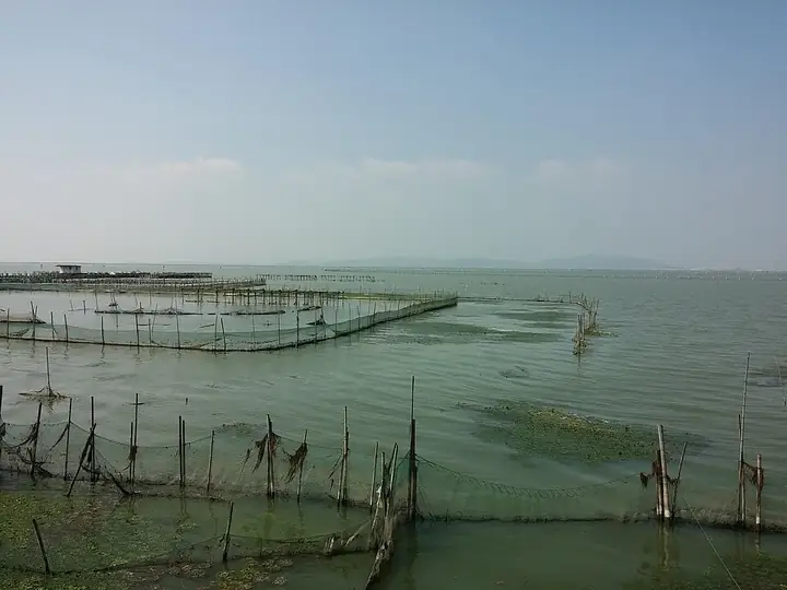 Fishing enclosures and the lakefront at Qidu in Wujiang District, Suzhou. Photo: Taken on 27 September 2015.