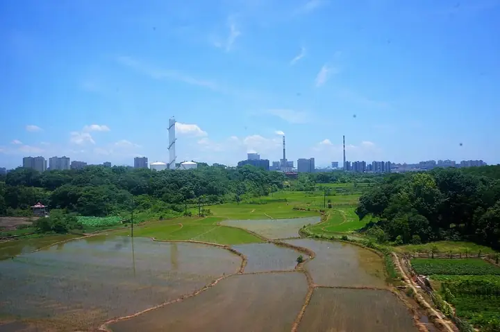 Flooded fields, woodland and the Guixi skyline in Jiangxi. Photo: 2018-06-27 12:30:09.