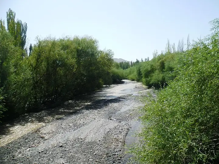 The Asi Kawake River and its wooded banks in Gaochang District, Turpan. Photo: 2017-08-07.