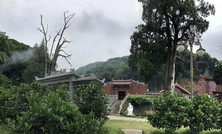 Lingguang Temple entrance and cypress trees, Meizhou · 梅州灵光寺入口与生死树