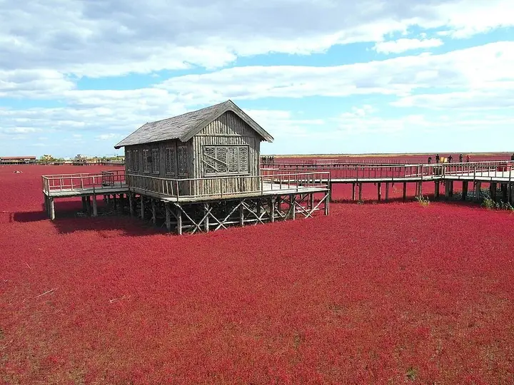Red Beach wetland and boardwalk, Panjin · 盘锦红海滩湿地与栈道
