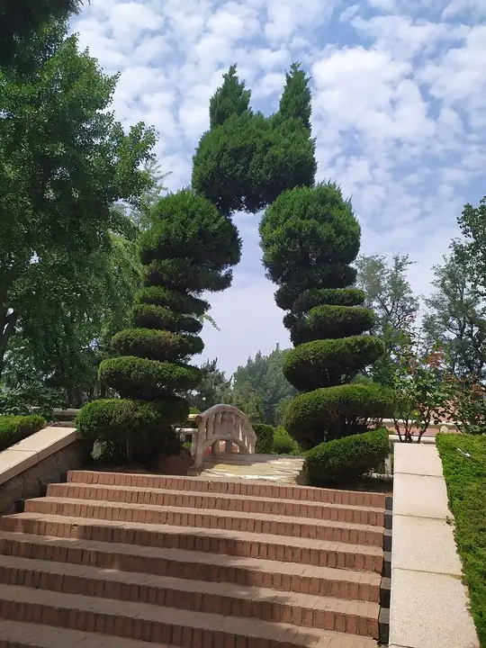 Steps and garden trees in Yantai Hill Park · 烟台山公园阶梯与园林树木