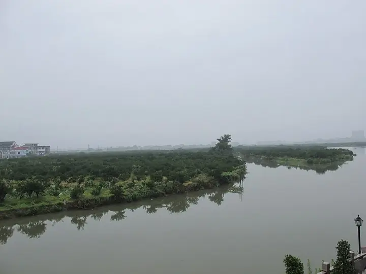 Water channels and islands at Sanyang Wetlands · 三垟湿地水道与洲渚
