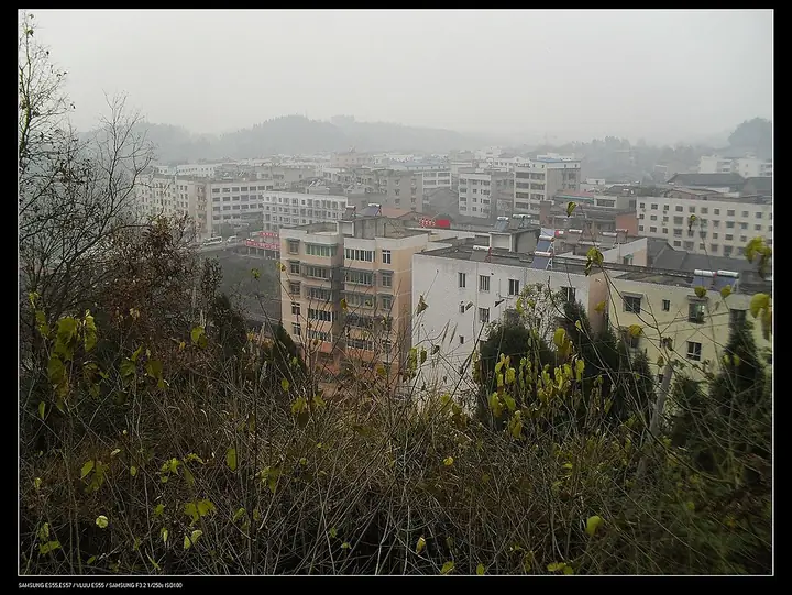 A townscape in Dongxing District, Neijiang, photographed from a wooded slope.