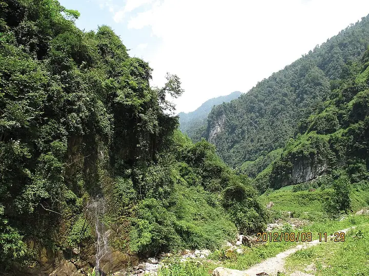 A forested ravine in Mabian Dafengding National Nature Reserve, Mabian Yi Autonomous County.