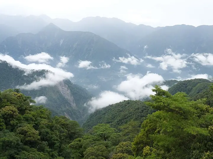 Daxueshan National Forest Recreation Area in Taichung