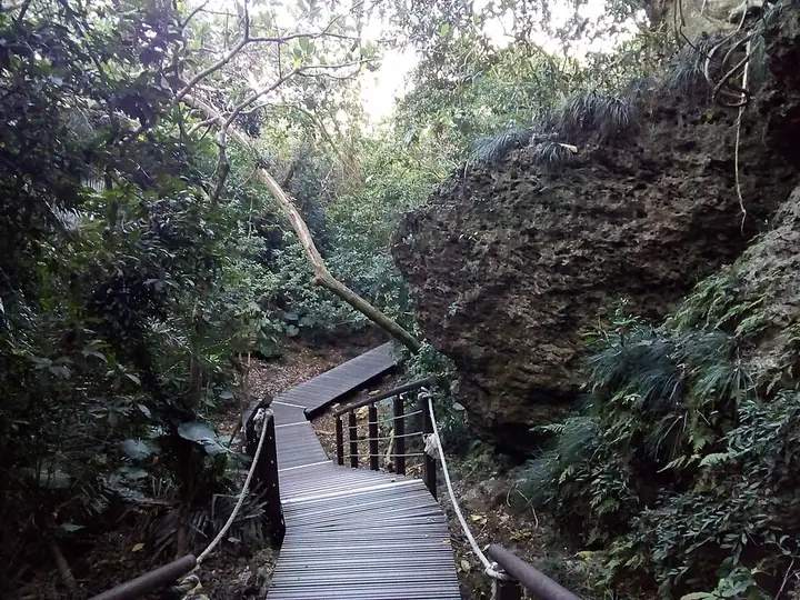 Wooden trail at the Panrong rest area in Shoushan National Nature Park