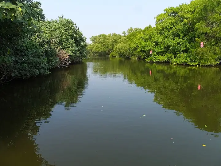 Waterway at Sicao Green Tunnel in Tainan