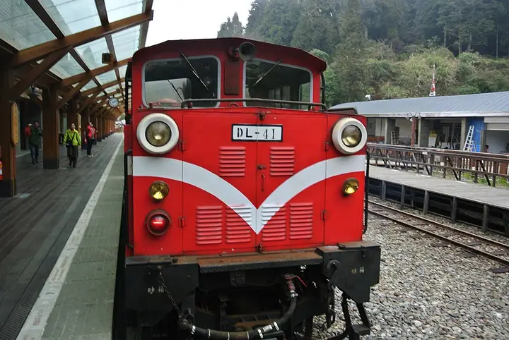 Alishan Forest Railway locomotive DL-41 beside a forest-area platform