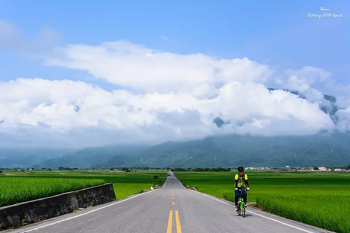 Brown Boulevard between rice fields in Chishang