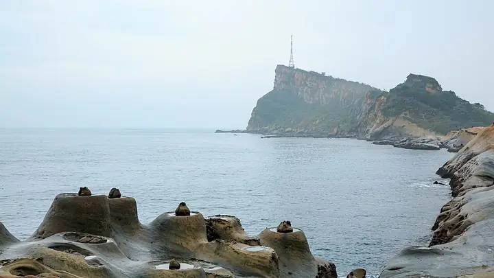 Candle rocks and the coastal headland at Yehliu Geopark