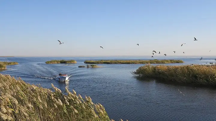 Reed beds and open water at Juyan Lake in Ejina