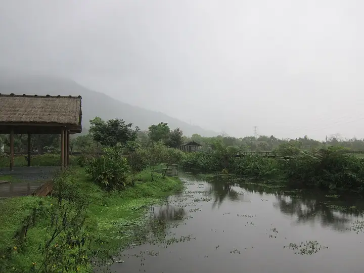 Water and vegetation at Matai'an Wetland in Guangfu