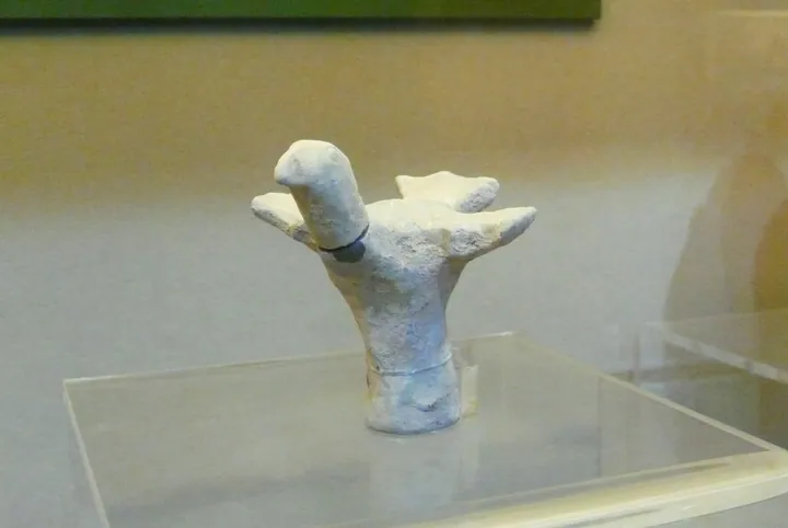 White ceramic pigeon-shaped funerary object in a museum display case