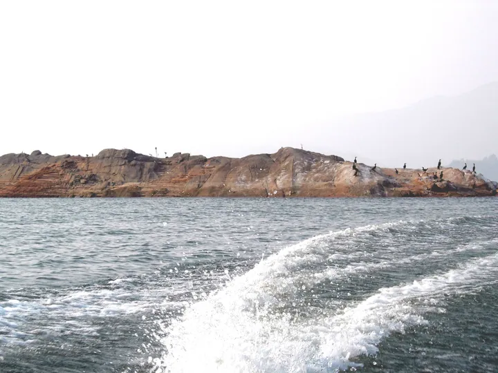 Lake with a rocky island and birds, seen from a boat