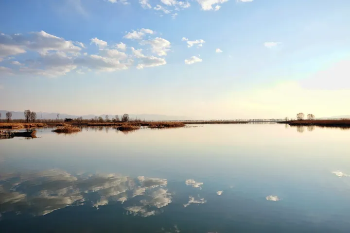 Calm wetland lake with reeds and reflected clouds