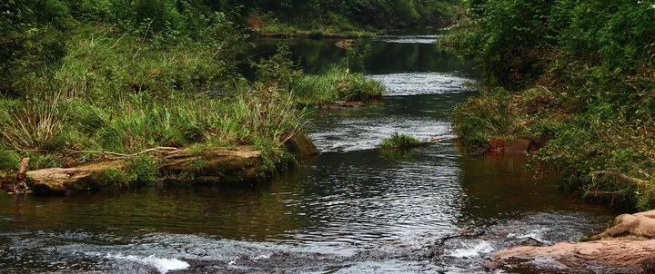 Rocky forest stream with green banks at Tiantai Mountain scenic area