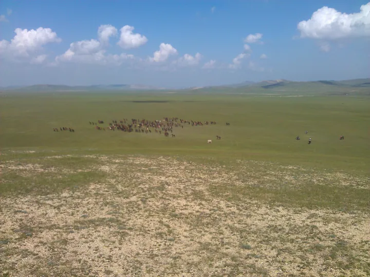 A herd of horses on open grassland in Ar Horqin Banner, Chifeng