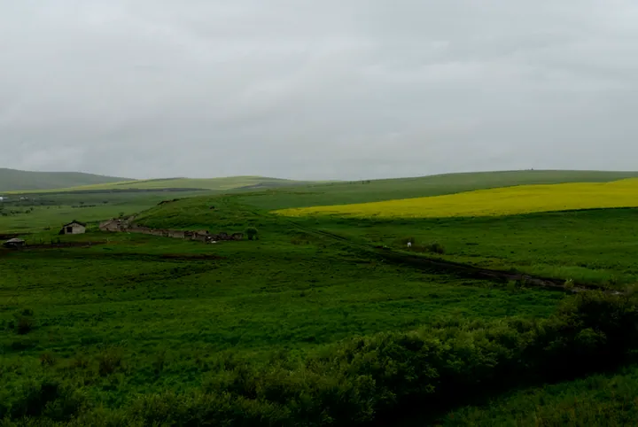 Green grassland with a small farmstead in New Barag Left Banner, Inner Mongolia