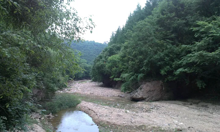 Rocky forest stream with trees on both banks in Qingyuan Manchu Autonomous County