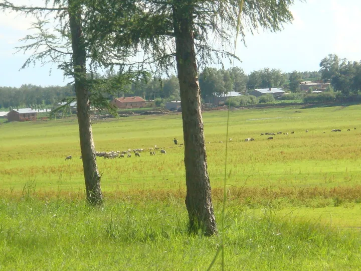 Pastoral farmland with grazing animals and village houses in Gannan County