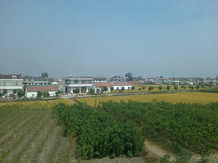 Rural houses bordered by rice fields near Hai'an, Jiangsu