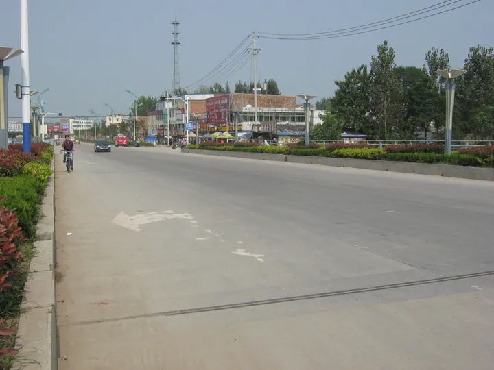 A town street lined with shops and trees in Lixin County