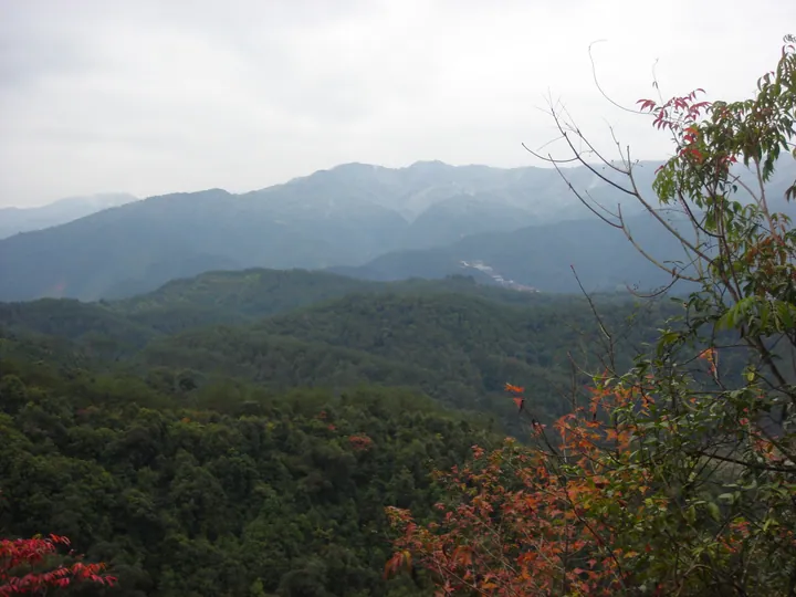 View of forested hills with a small settlement in Xibin Town, Youxi County