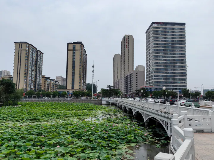 Lotus Bay and city skyline in Pingdu