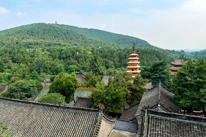 A tiered brick pagoda rising above temple rooftops and green hillside forest in Ruzhou