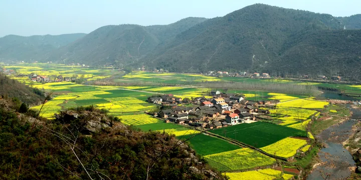 Yellow rapeseed fields and a village nestled among green hills