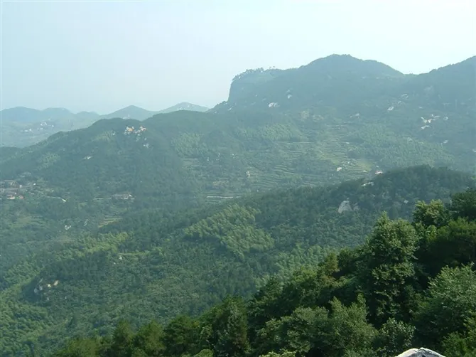 Forested mountain ridges and terraced slopes at Mount Daqishan, Tuanfeng County