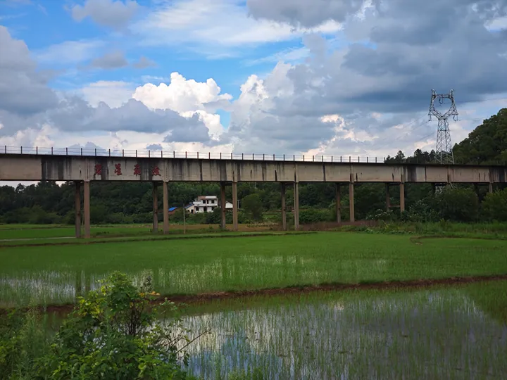 Green rice paddies beneath an elevated bridge under a cloudy sky in Xiangxiang