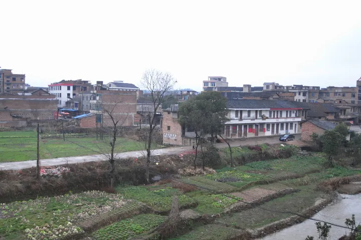 Small-town buildings bordered by vegetable plots and farmland near Shaodong