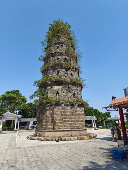 Ancient brick pagoda with trees growing from its top against a blue sky in Chaonan District